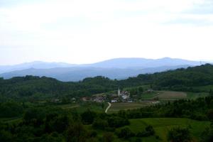 cerovec