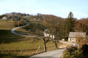 Cikava