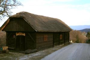 Cikava