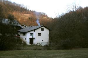 Cikava