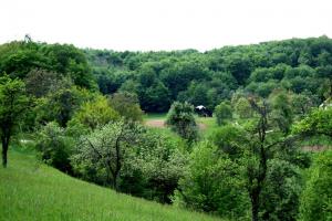 Čilpah