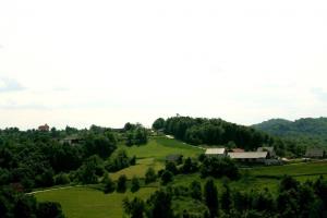 Čužnja vas