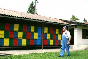 Dolenje Zabukovje