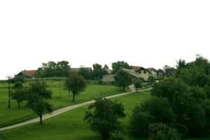 Drečji vrh