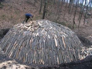 Jagodnik