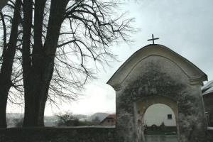 Jelševec