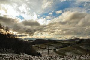 Jelševec