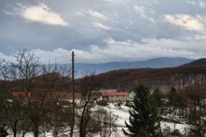 Jelševec