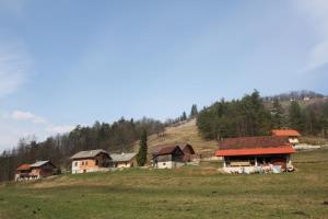 Križni Vrh