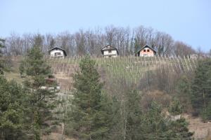 Križni Vrh