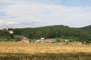 Mokronog