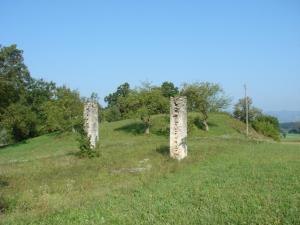 Ostrožnik
