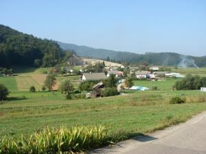 Ostrožnik