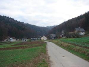 Ribjek
