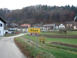 Ribjek