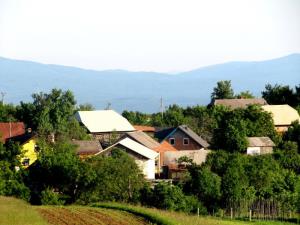 Vrh pri Trebelnem